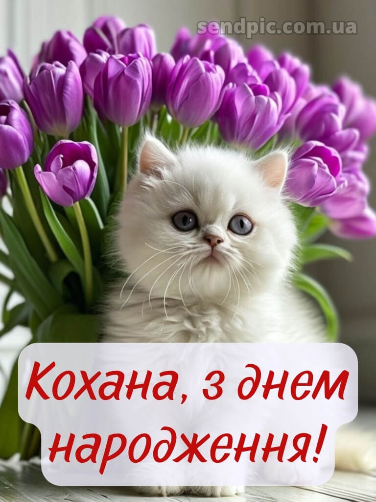 Ніжні тюльпани з днем народження тюльпани 22