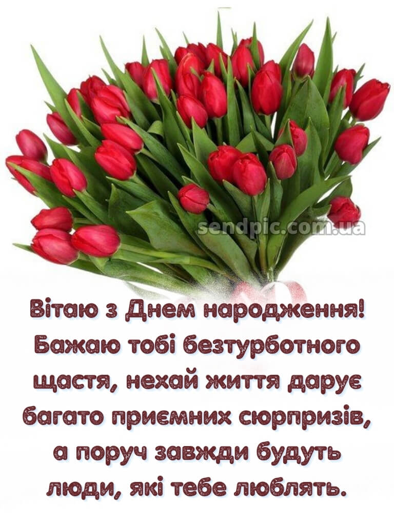 Ніжні тюльпани з днем народження тюльпани 23
