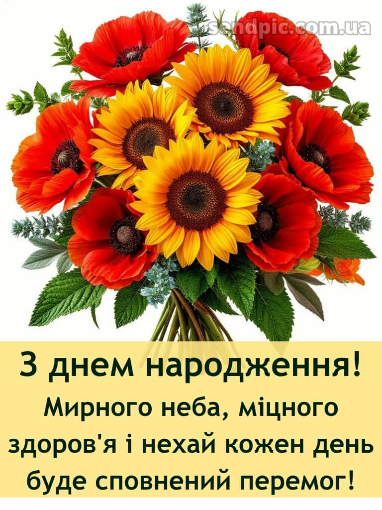 Патріотичне привітання з днем народження 27