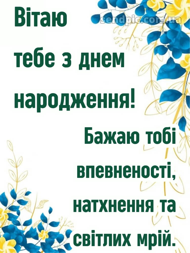 Патріотичне привітання з днем народження мужчині 24