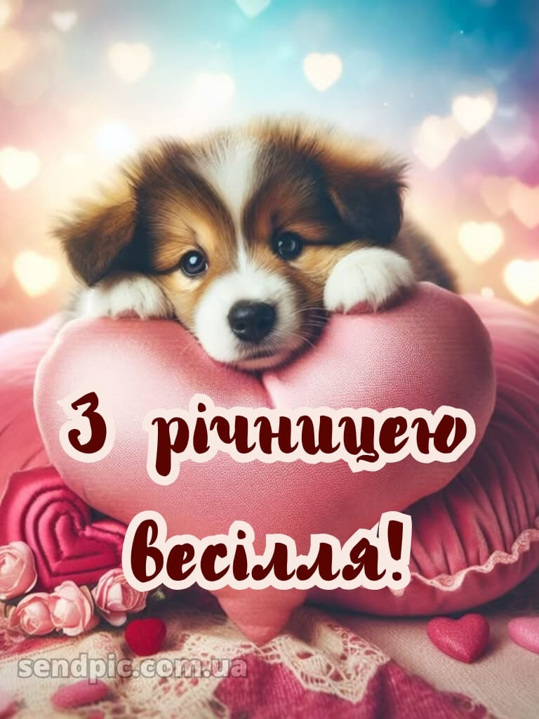 Привітання з річницею весілля картинки 20