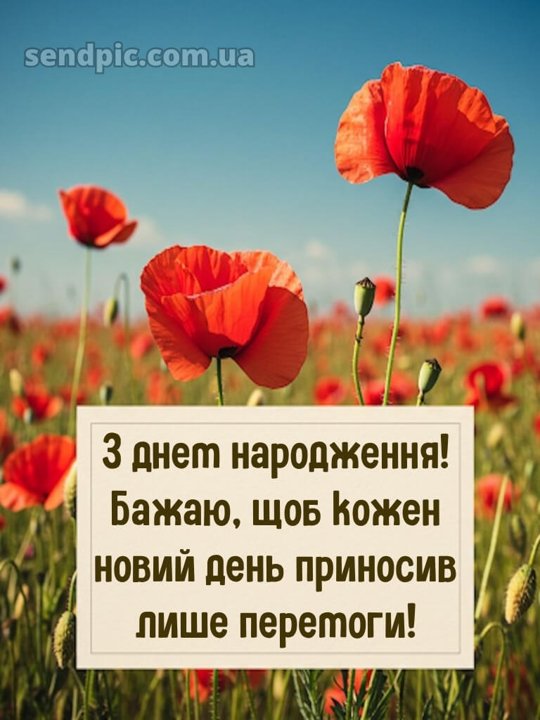 Українському стилі патріотичне привітання з днем народження 30