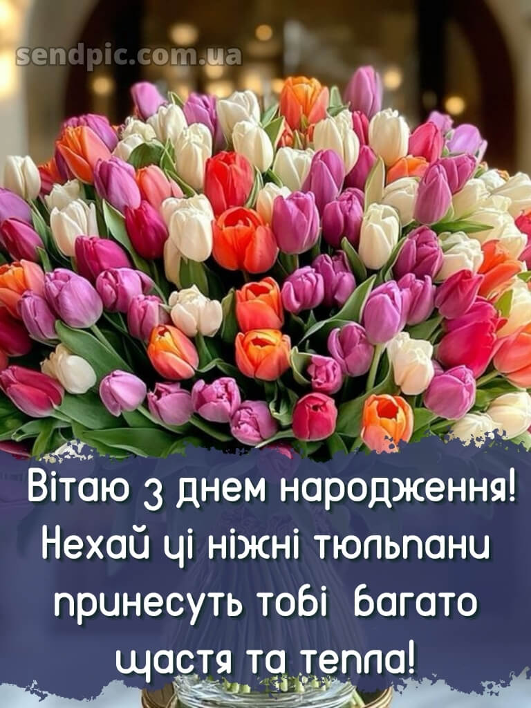 З днем народження тюльпани 16