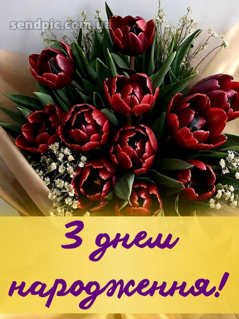 З днем народження тюльпани 26