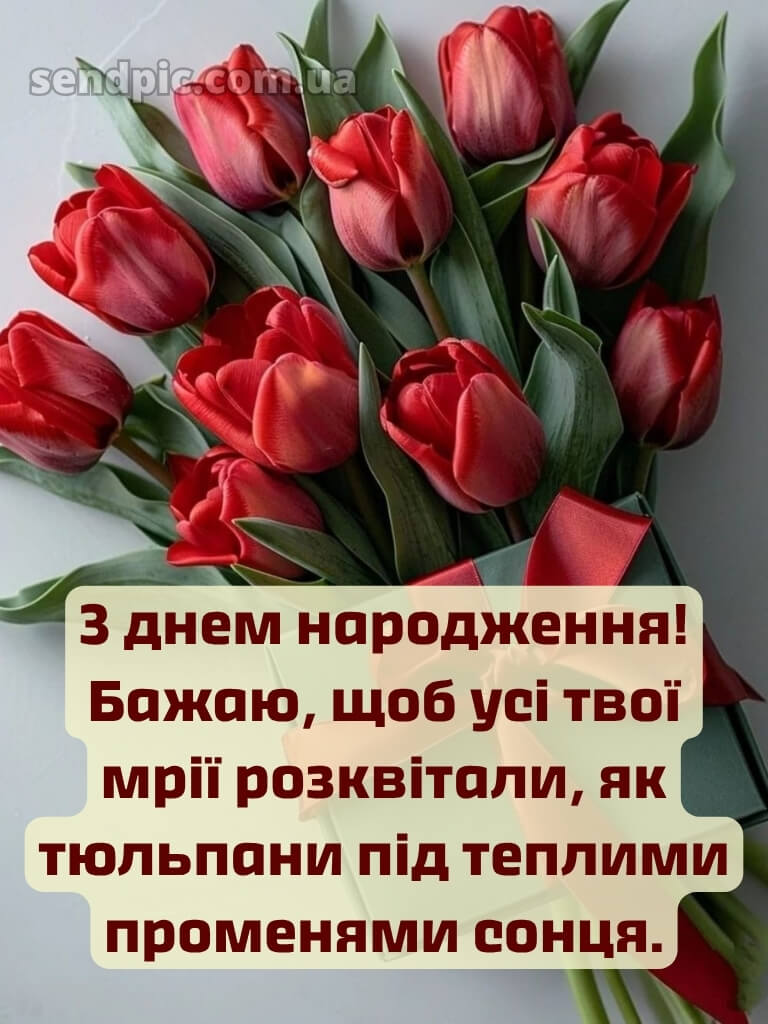 З днем народження тюльпани 27
