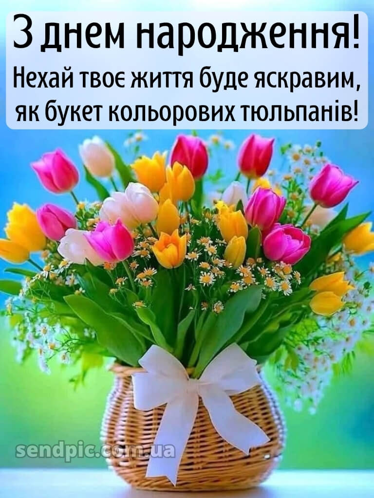 З днем народження тюльпани 29