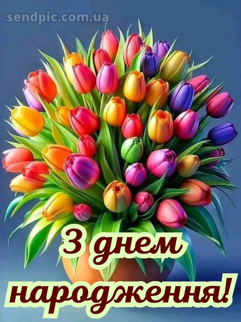 З днем народження тюльпани 30