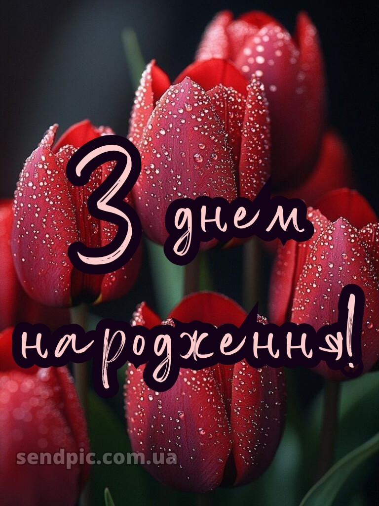 З днем народження тюльпани 19
