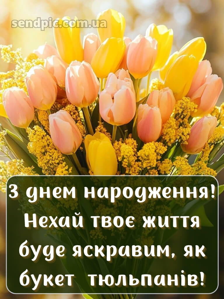 З днем народження тюльпани 21