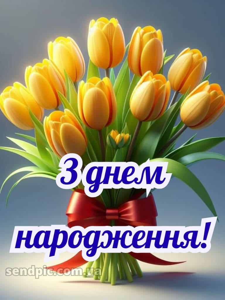 З днем народження тюльпани 22