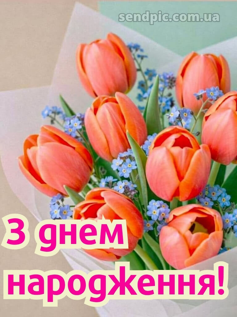 З днем народження тюльпани 23