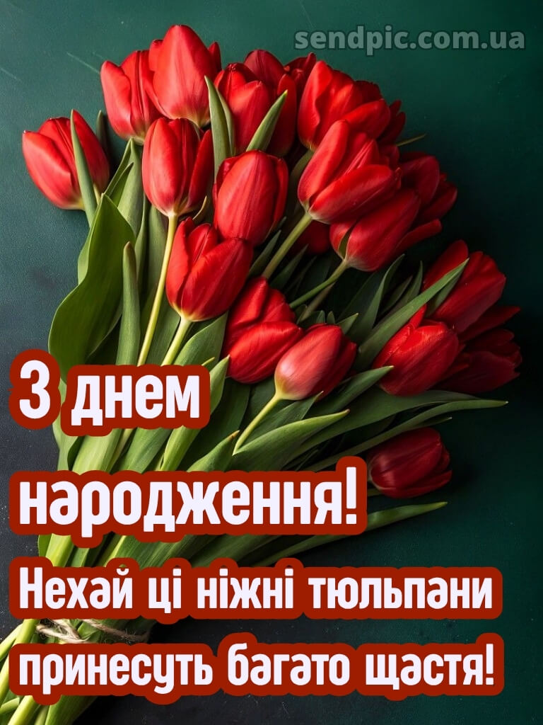 З днем народження тюльпани 24