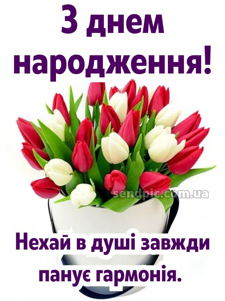 З днем народження тюльпани українською 25