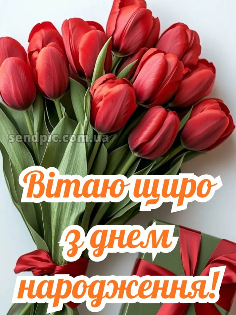 З днем народження тюльпани українською 26