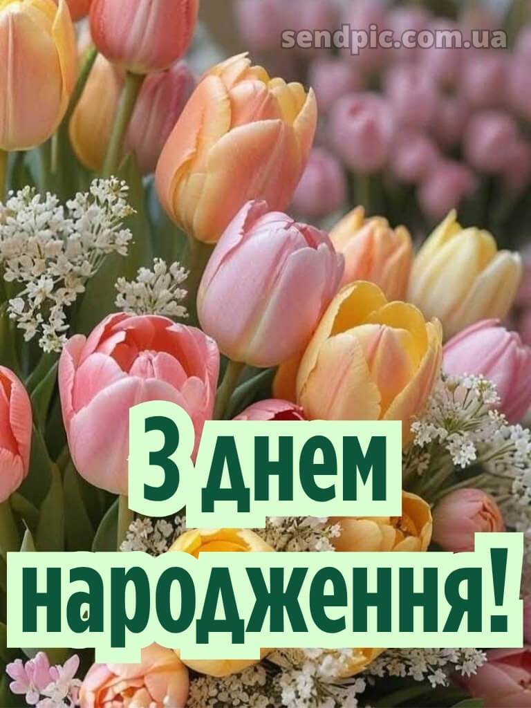 З днем народження тюльпани українською 30