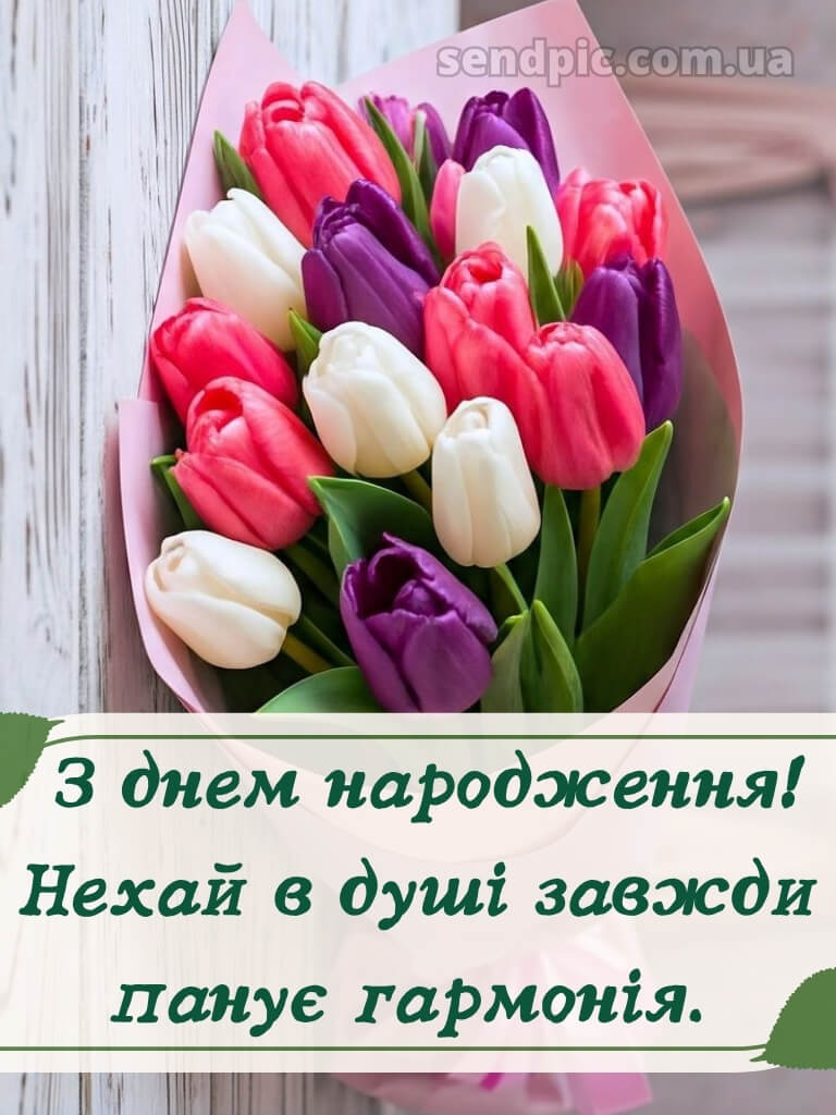 З днем народження тюльпани українською 17