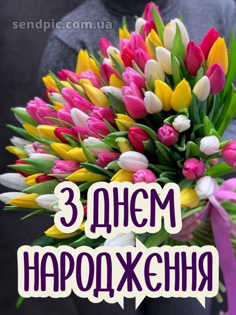 З днем народження тюльпани українською 18