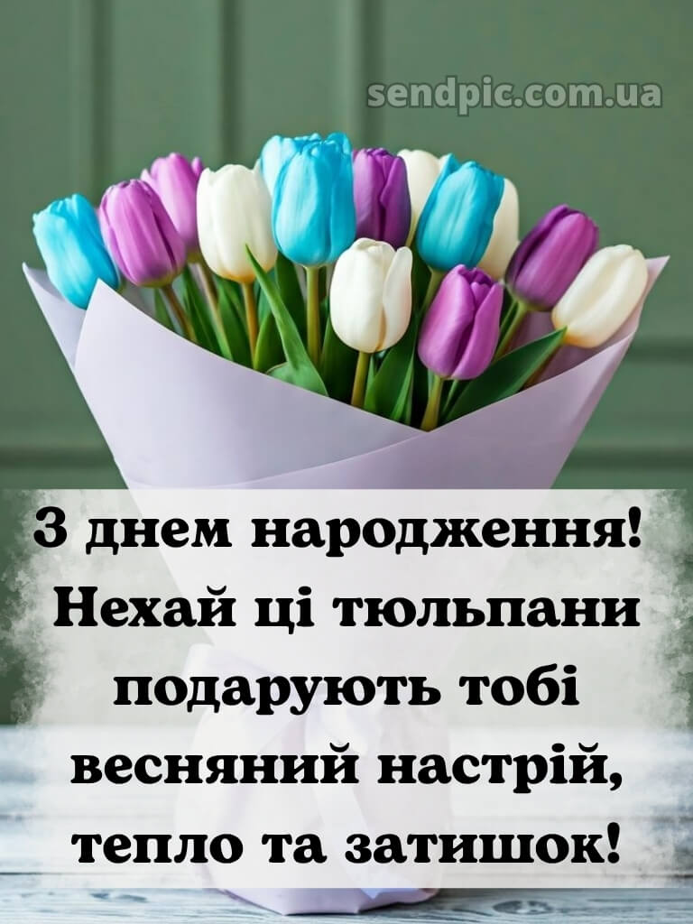 З днем народження тюльпани українською 19