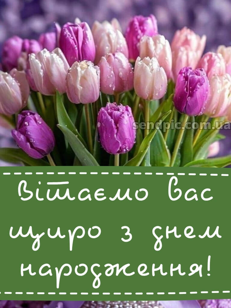 З днем народження тюльпани українською 20