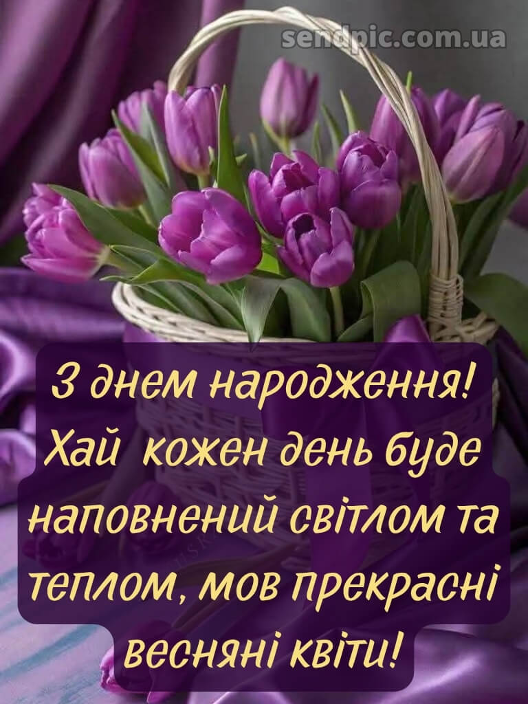 З днем народження тюльпани в коробці 16