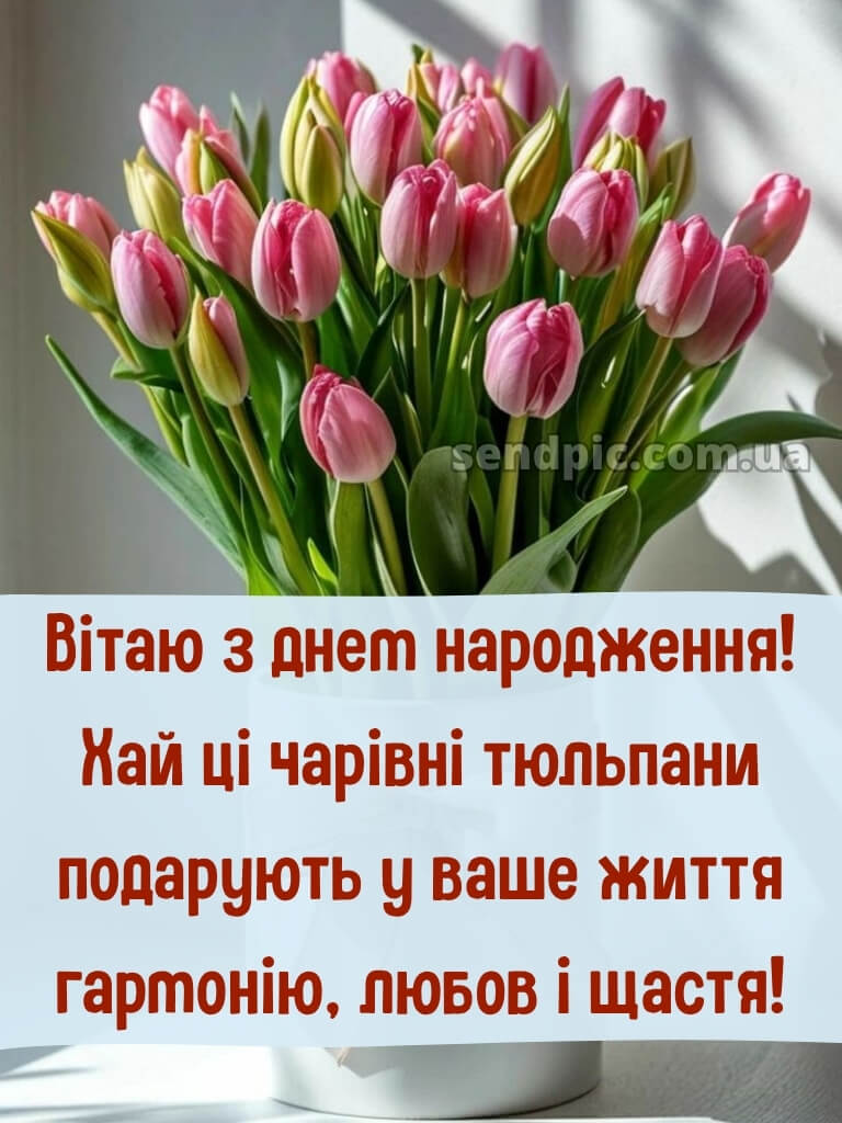 З днем народження тюльпани в коробці 27