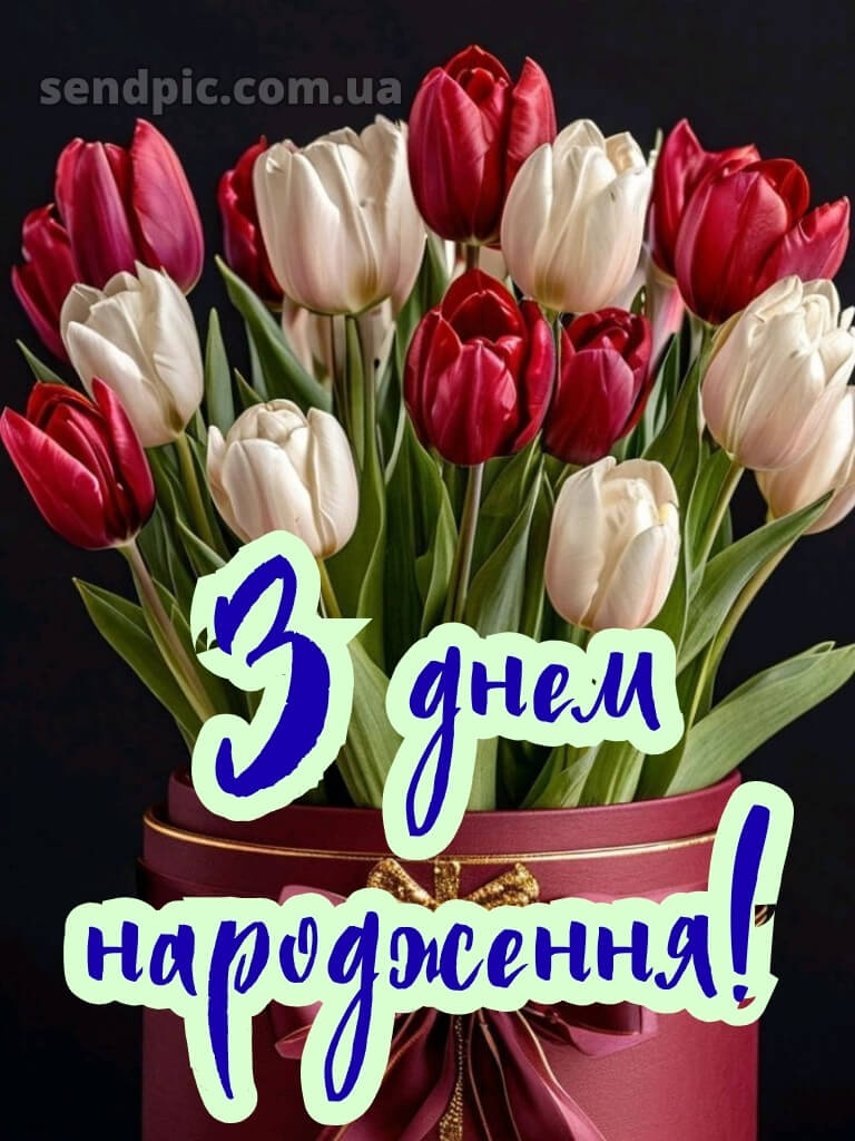 З днем народження тюльпани в коробці 30
