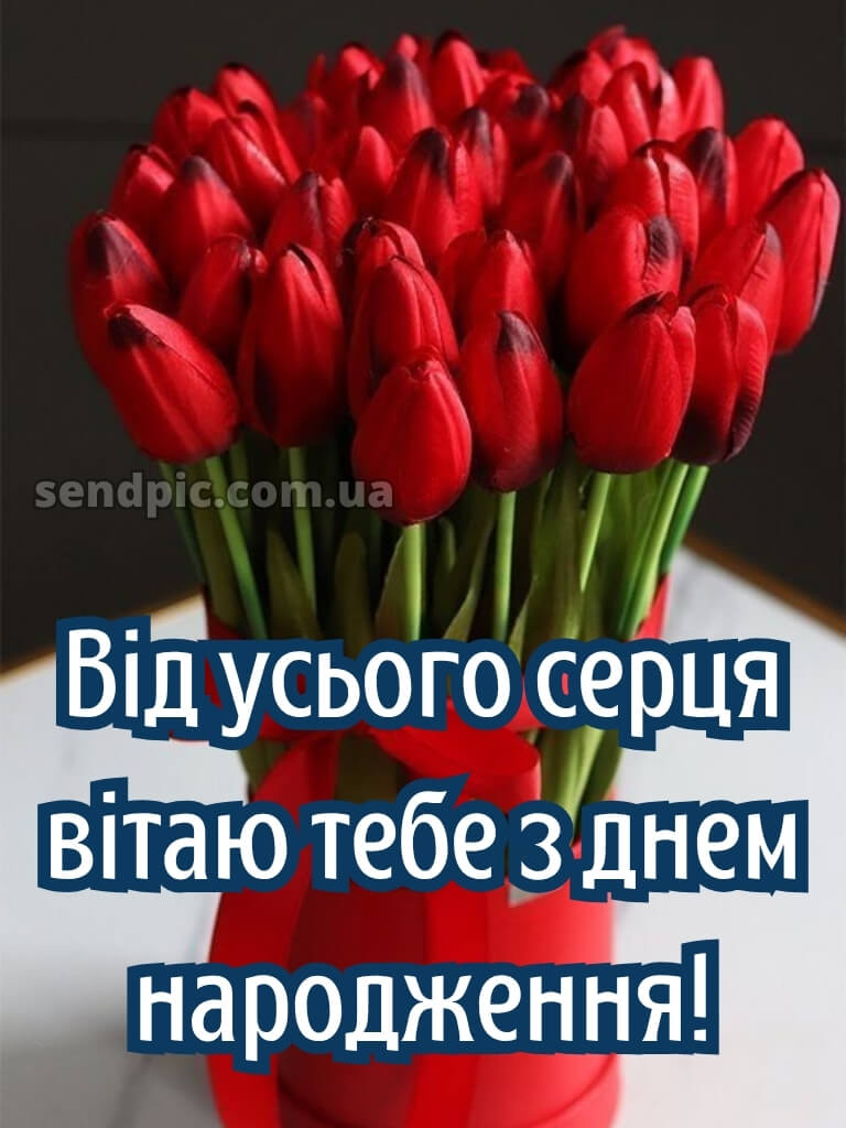 З днем народження тюльпани в коробці 19