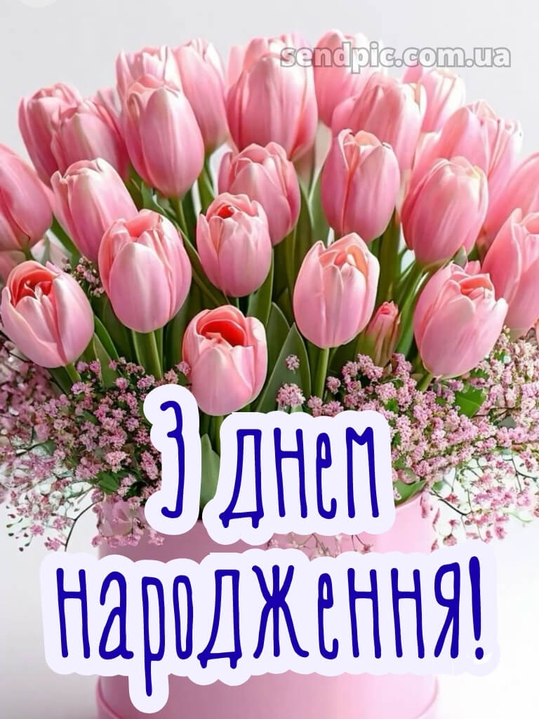 З днем народження тюльпани в коробці 22