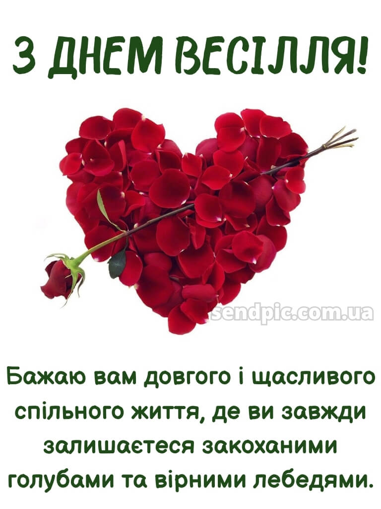 З днем весілля картинки 30