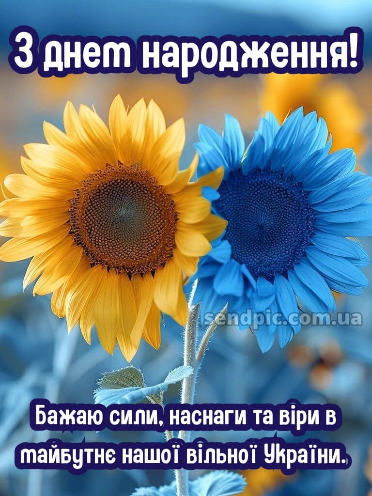 Жінці українському стилі патріотичне привітання з днем народження 27
