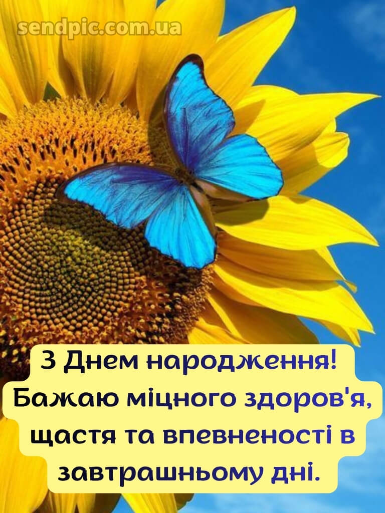 Жінці українському стилі патріотичне привітання з днем народження 22
