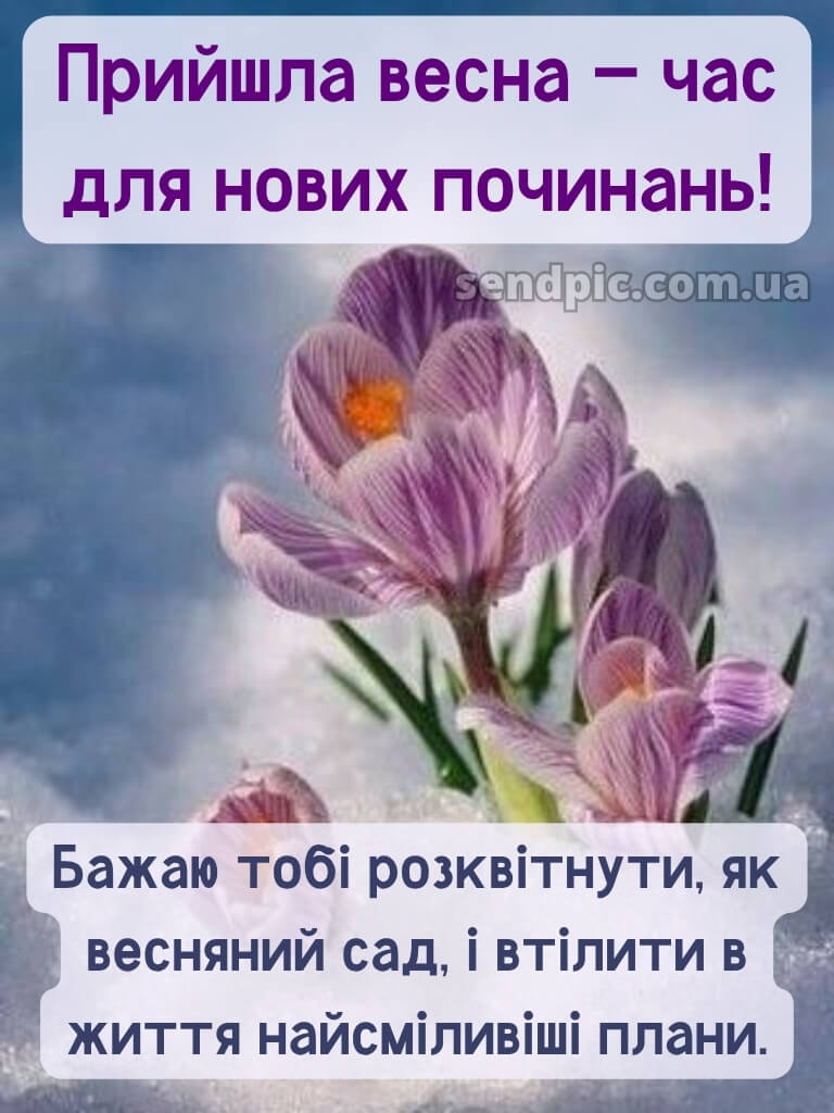 Зі святом весни картинки 27