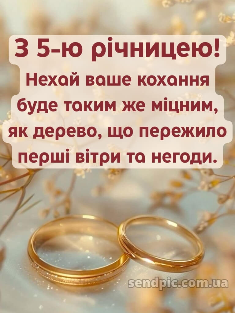 5 років весілля привітання картинки 20
