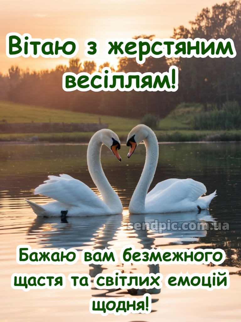8 років весілля картинки українською 23