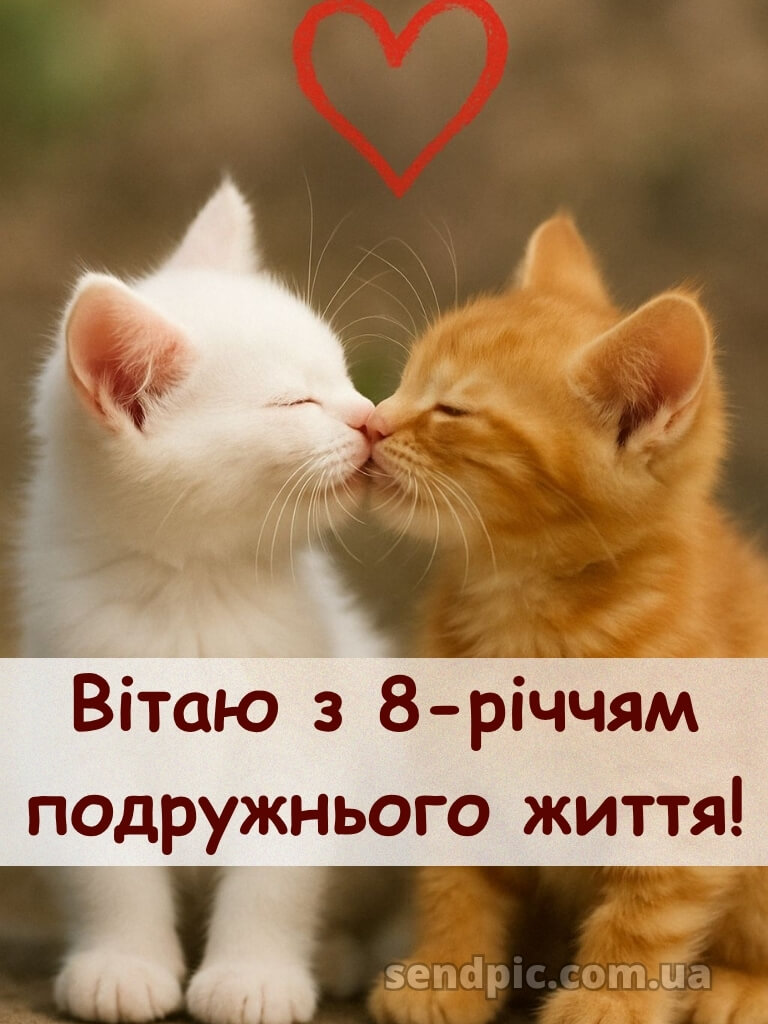 8 років весілля картинки українською 24