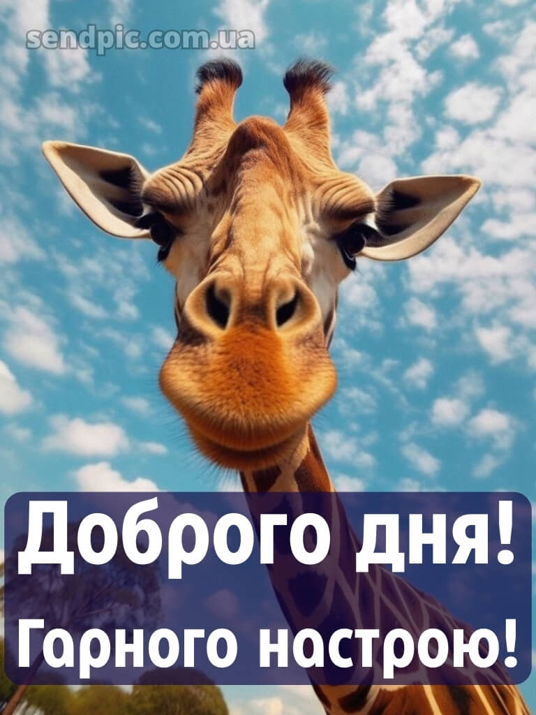 Доброго дня гарного настрою 19