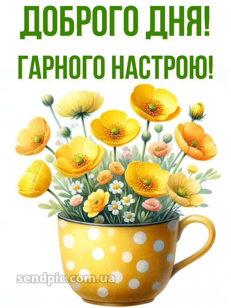 Доброго дня гарного настрою 20