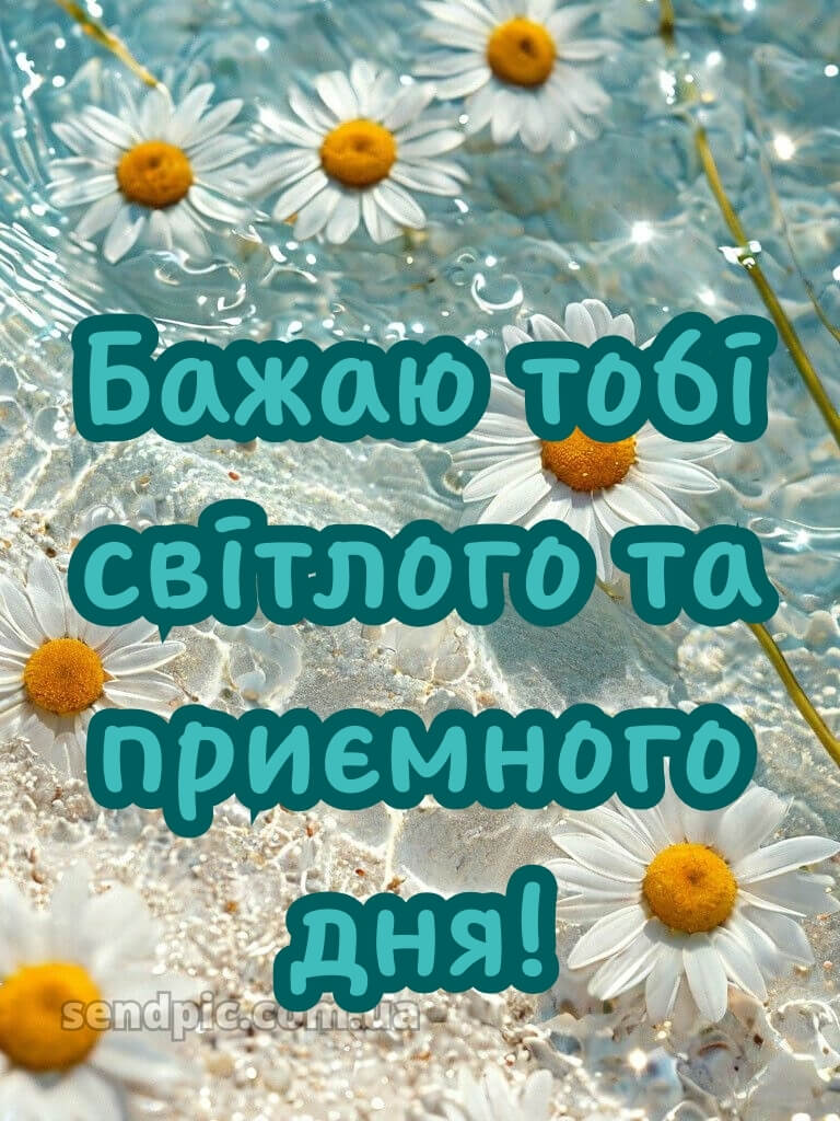 Доброго дня гарного настрою 24