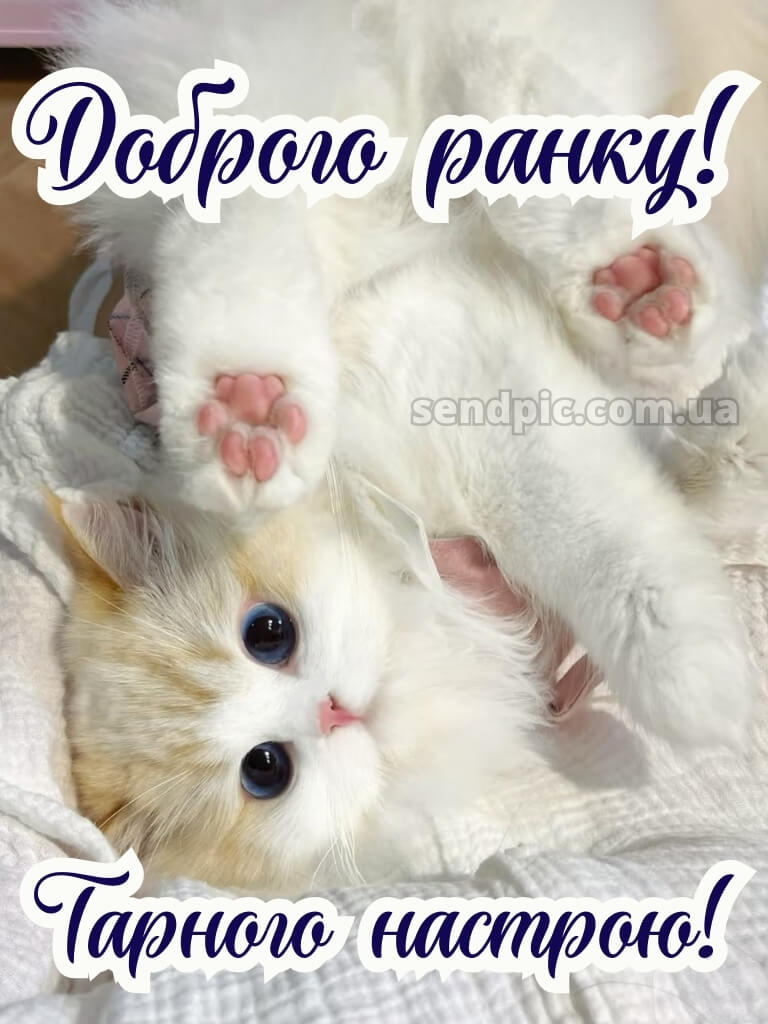 Доброго ранку, гарного настрою 27