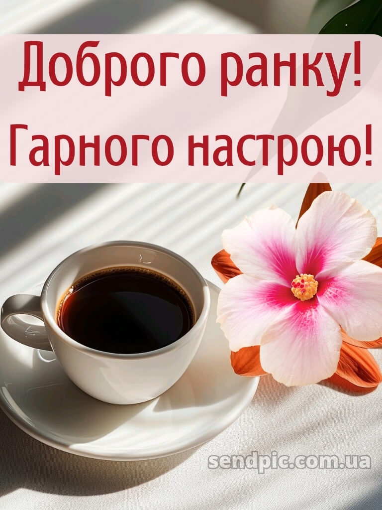 Доброго ранку, гарного настрою 21