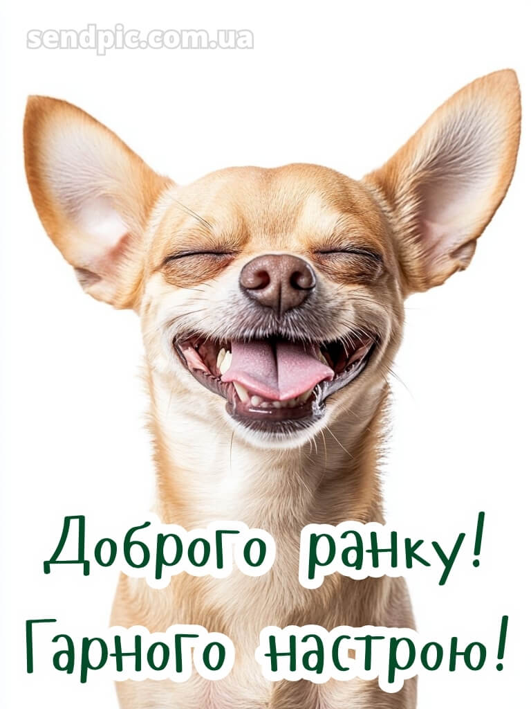 Доброго ранку, гарного настрою на весь день 26