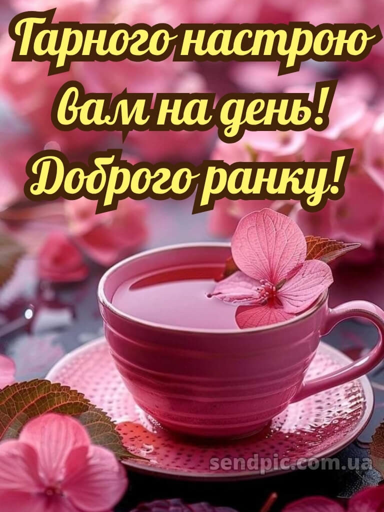 Гарного настрою доброго ранку гарного дня 16