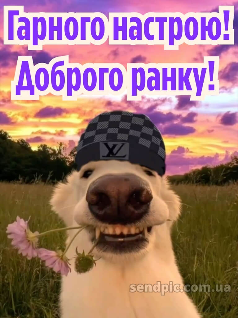 Гарного настрою доброго ранку гарного дня 28