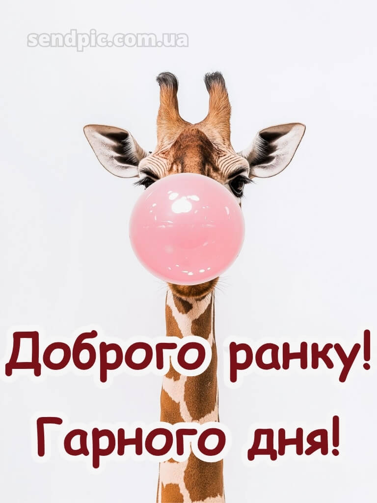 Гарного настрою доброго ранку гарного дня 18