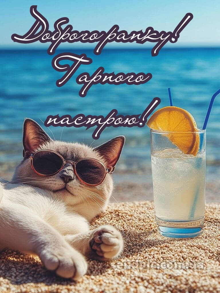 Картинки доброго ранку гарного настрою 27