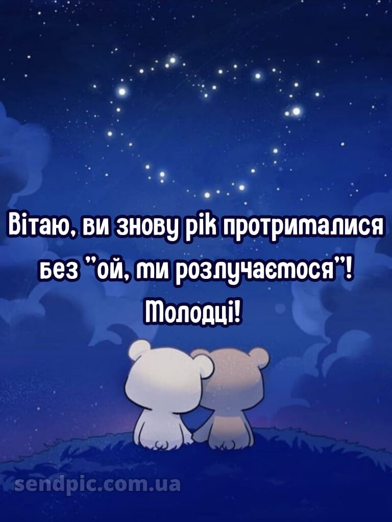 Прикольні картинки з річницею весілля 17