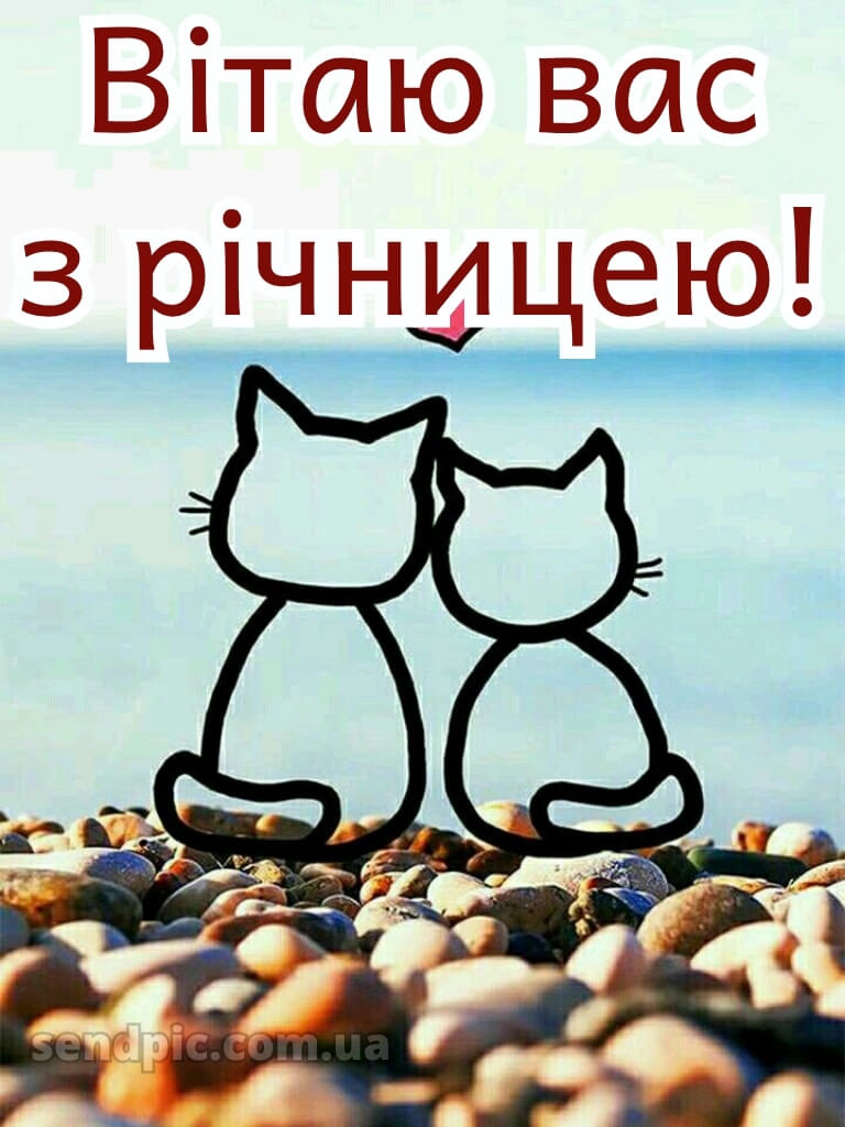 Привітання з річницею весілля прикольні картинки 16