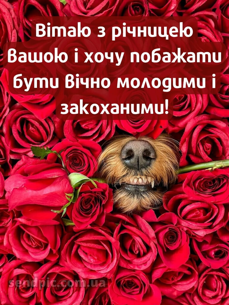 Привітання з річницею весілля прикольні картинки 21