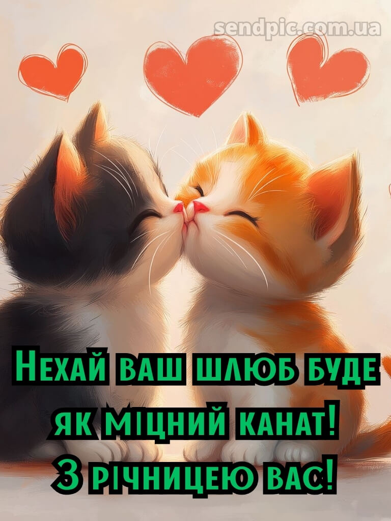 З річницею весілля: картинки прикольні 30