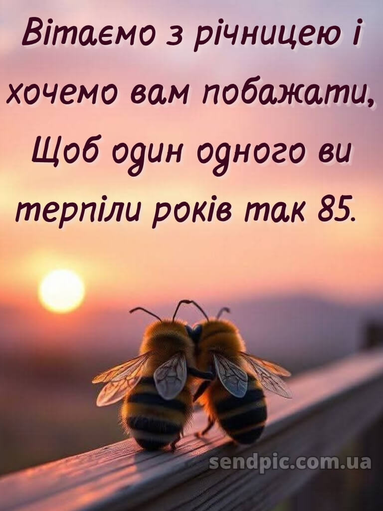 З річницею весілля: картинки прикольні 18